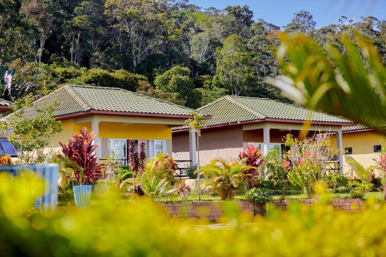 Andasibe Lemurs Lodge المظهر الخارجي الصورة