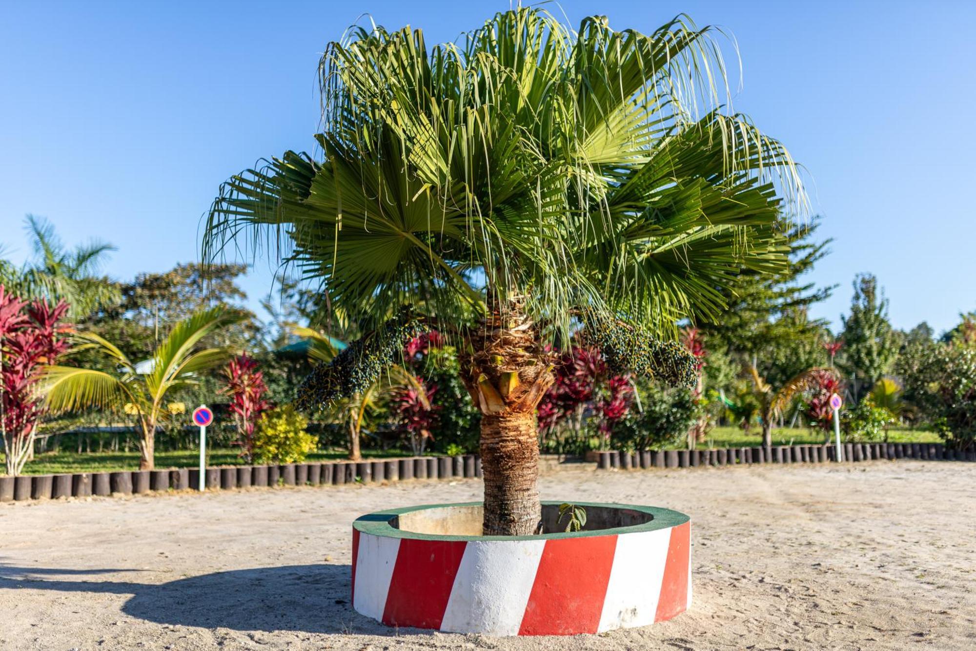 Andasibe Lemurs Lodge المظهر الخارجي الصورة